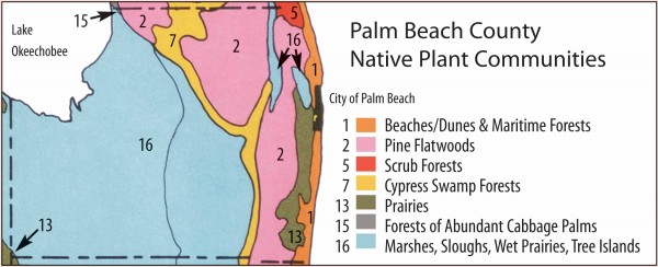 Palm Beach County Plant Communities Map segment