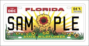 Florida's Wildflower license tag