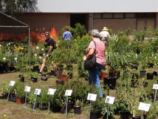 Native plant enthusiasts stock up on plants at the annual FNPS conference plant sale.
