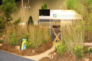 Sandhill Growers booth at 2015 Landscape Show demonstrates what they do - pine flatwoods restoration. 