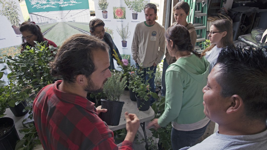 FANN members watch Green Seasons Nursery pro Maria Vega demonstrate how native plants can be trimmed up for traditional ornamental presentation to garden centers and landscapers.