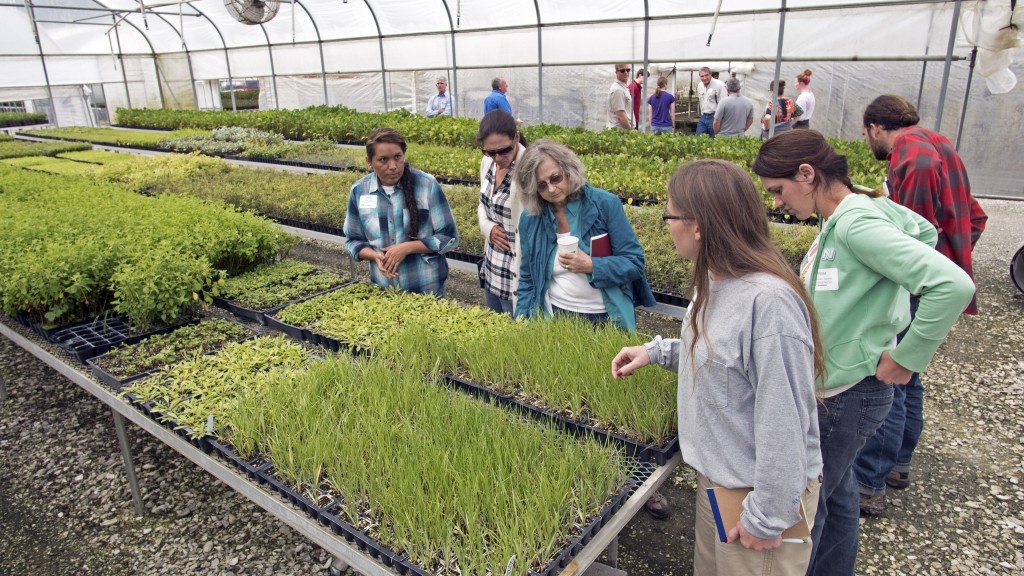 From left, Maria Vega, Sharon Able, Nancy Bissett, Alyssa Lavoro (green jacket). 