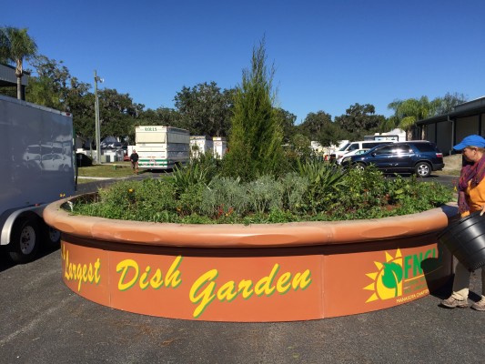 Worlds largest dish garden, all native plants