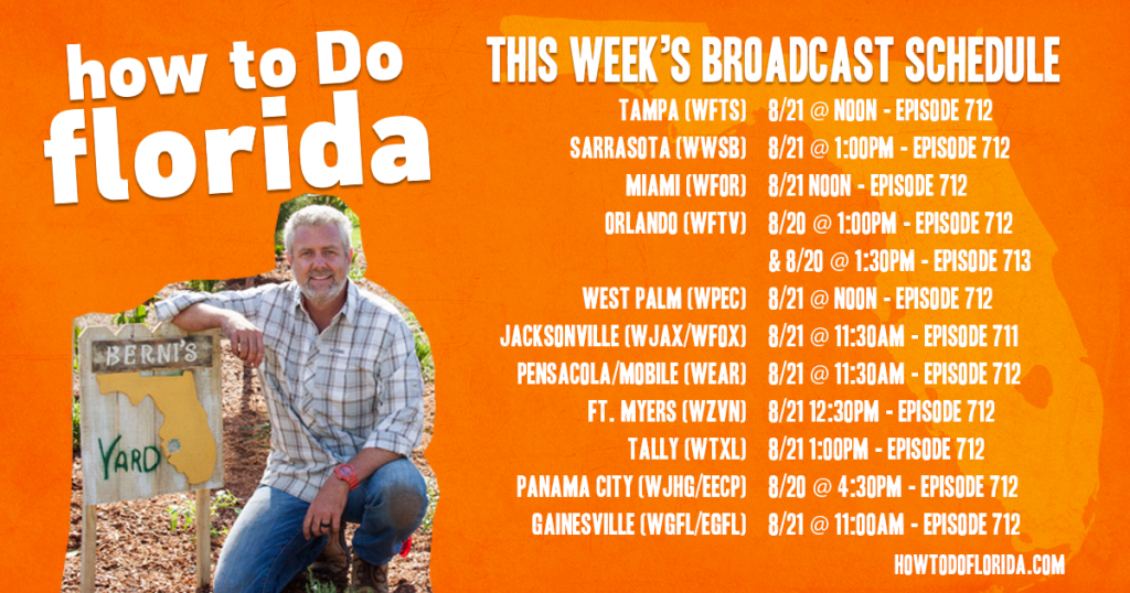 HTDF-FB-Schedule-Week-12
