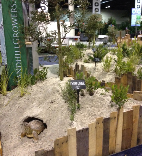 Sandhill Native Growers booth