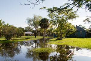 Historic Bailey Homestead Preserve grounds at Sanibel. Photo by SCCF.