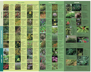 FNPS native landscape brochures
