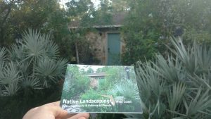 Milkweed Man Scott Allen Davis' front yard is featured on the FNPS native landscaping brochures