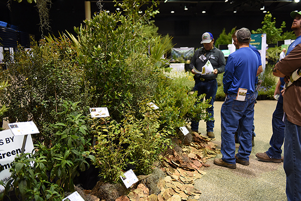 Landscape professionals check out a corner of SCCF's South Florida landscape demonstration.