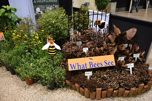 This year's theme "See native plants in a new way" must have really motivated our exhibitors, who really stepped up their displays this year. Here we see Pine Sponsor Green Isle Gardens Nursery's display contrasting what bees see when they fly over the typical non-native landscape. 