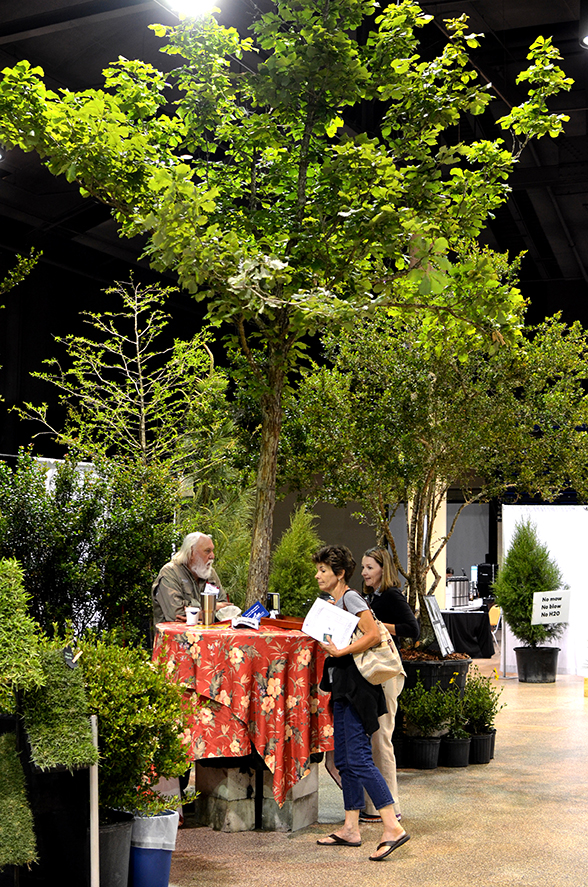 Stardust Farm's big Swamp Chestnut Oak (Quercus michauxii) enchanted everyone.