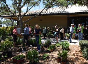 Public plant sale outside, organized by our conservation partner Florida Native Plant Society. 