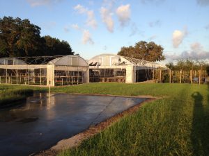 Greenhouses ripped in Hurricane Irma