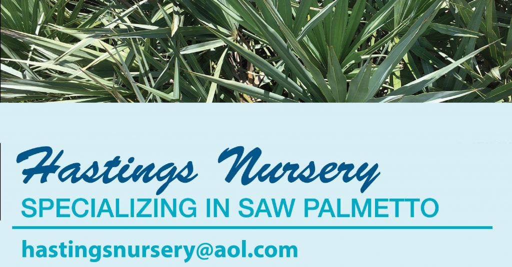 Hastings Nursery FANN member advertiser