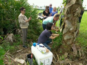 The FLREC Lab Team takes core samples while attendees observe. L-R: lady in sunglasses recording with her phone is Lorelie Agbagala, a Visiting Scholar from the Phillippines assisting with research, squatting in foreground is De-Fen Mou and bending over behind her is Ericka Helmick.