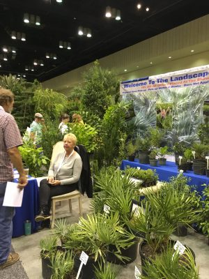 Pat Hastings with Hastings Nursery had a lot of customers looking for those Palmettos. 