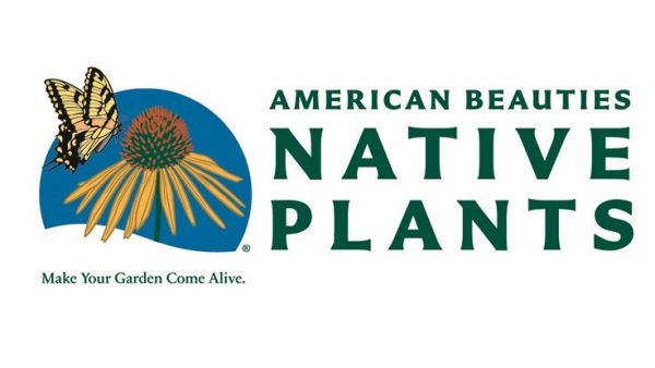 American Beauties Native Plants logo