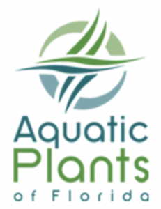 Screen Shot 2021-05-20 at 1.17.39 PM