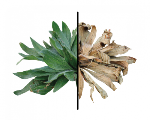 Screen Shot 2022-06-03 at 12.23.53 PM