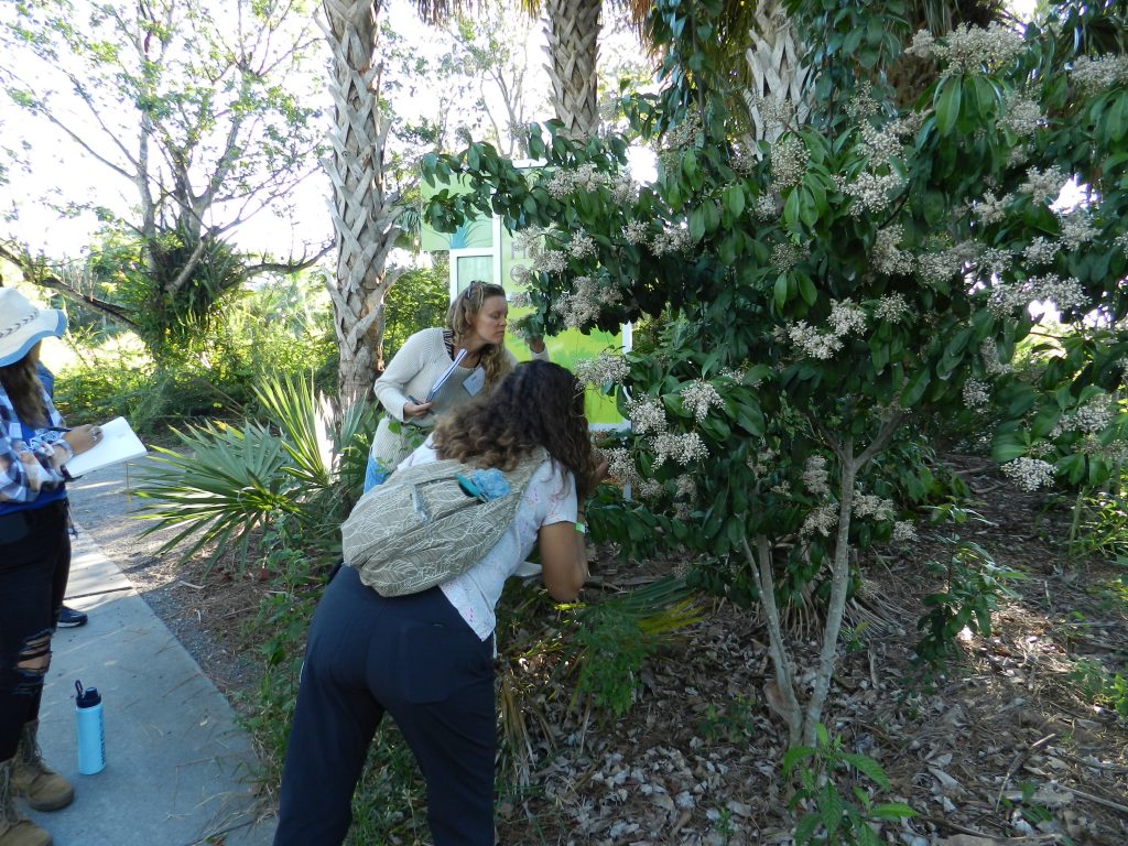 Credential applicants examine marlberry on their walk